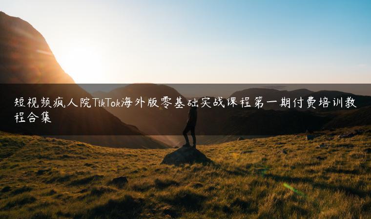 短视频疯人院TikTok海外版零基础实战课程第一期付费培训教程合集