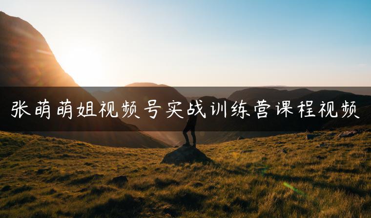 张萌萌姐视频号实战训练营课程视频