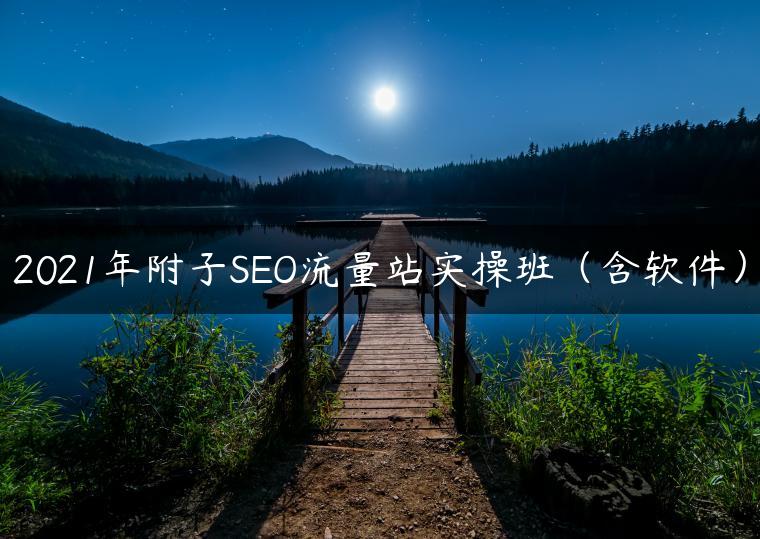 2021年附子SEO流量站实操班（含软件）