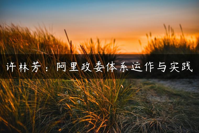 许林芳：阿里政委体系运作与实践