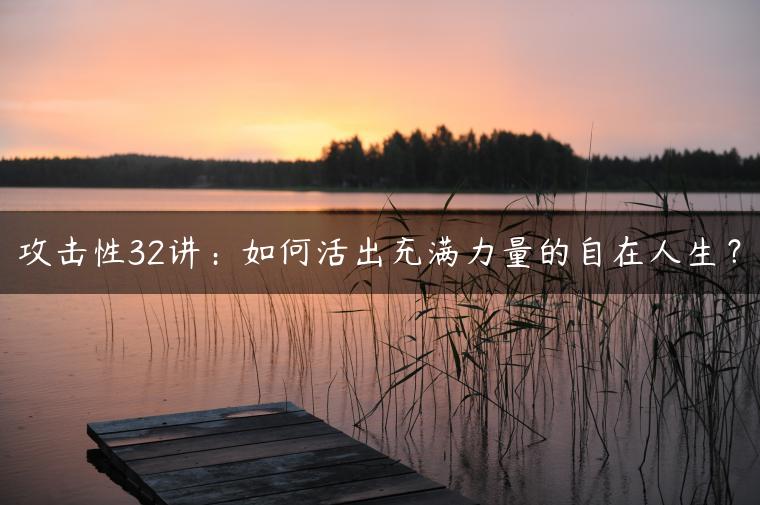 攻击性32讲：如何活出充满力量的自在人生？