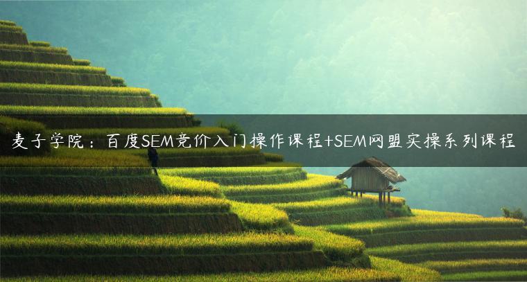 麦子学院:百度SEM竞价入门操作课程+SEM网盟实操系列课程 麦子学院:百度SEM竞价入门操作课程+SEM网盟实操系列课程