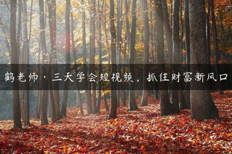 鹤老师·三天学会短视频,抓住财富新风口 鹤老师·三天学会短视频,抓住财富新风口