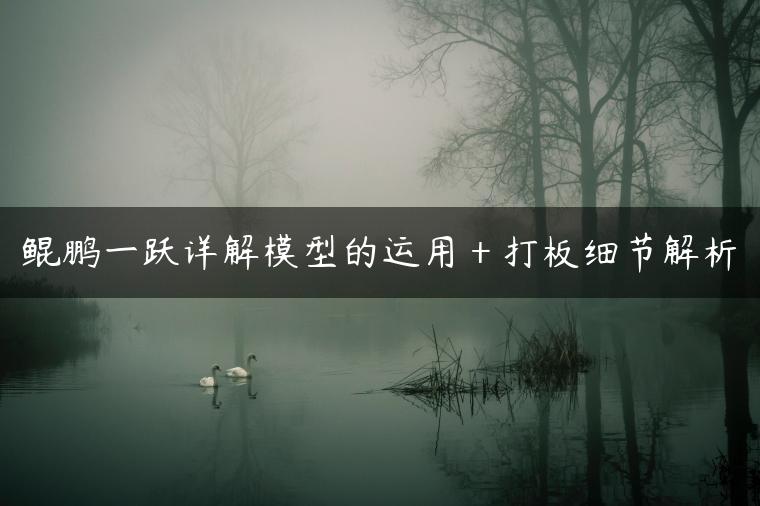 鲲鹏一跃详解模型的运用＋打板细节解析