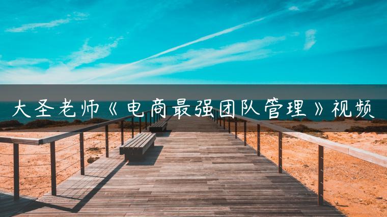 大圣老师《电商最强团队管理》视频