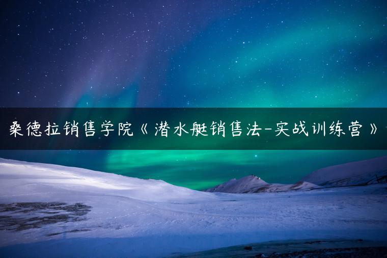 桑德拉销售学院《潜水艇销售法-实战训练营》