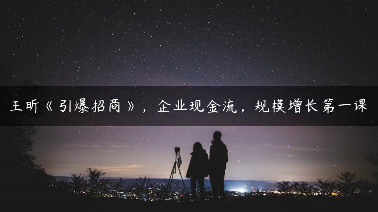 王昕《引爆招商》，企业现金流，规模增长第一课