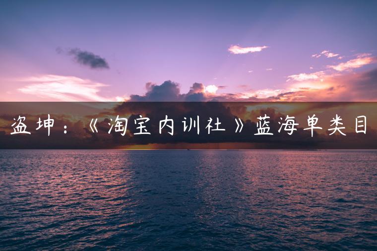 盗坤：《淘宝内训社》蓝海单类目