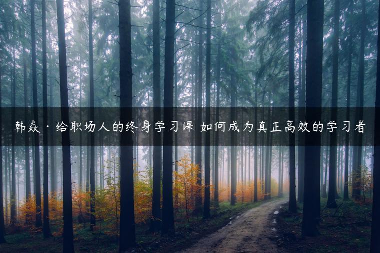 韩焱·给职场人的终身学习课 如何成为真正高效的学习者 韩焱·给职场人的终身学习课 如何成为真正高效的学习者