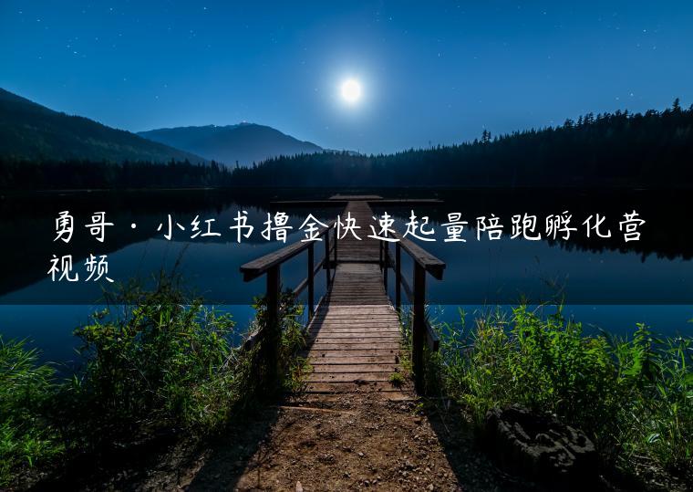 勇哥·小红书撸金快速起量陪跑孵化营视频 勇哥·小红书撸金快速起量陪跑孵化营视频