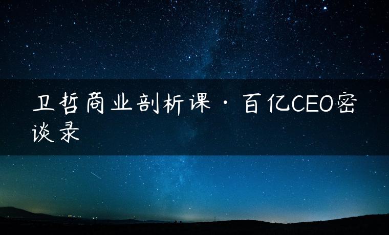 卫哲商业剖析课·百亿CEO密谈录