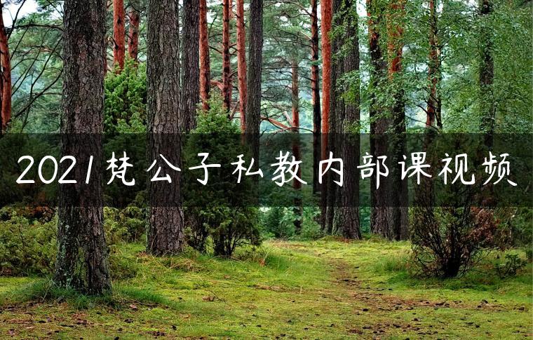 2021梵公子私教内部课视频