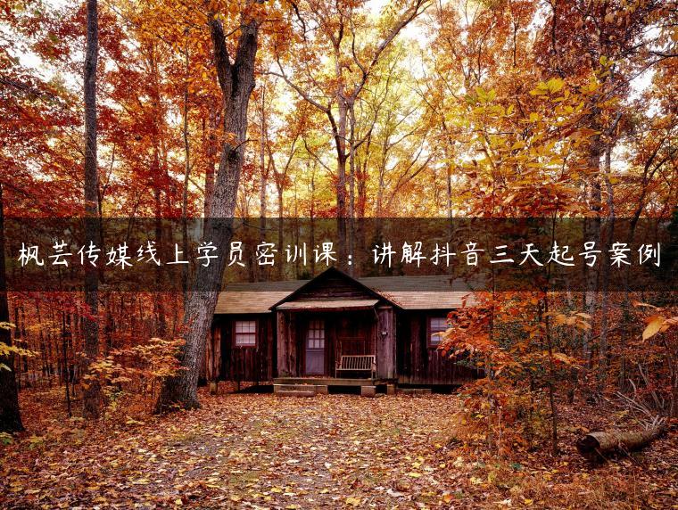 枫芸传媒线上学员密训课：讲解抖音三天起号案例