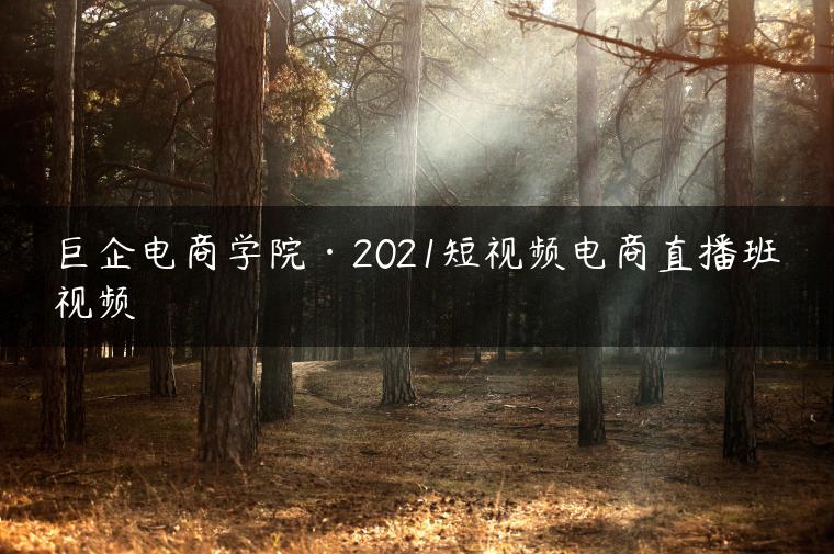 巨企电商学院·2021短视频电商直播班视频