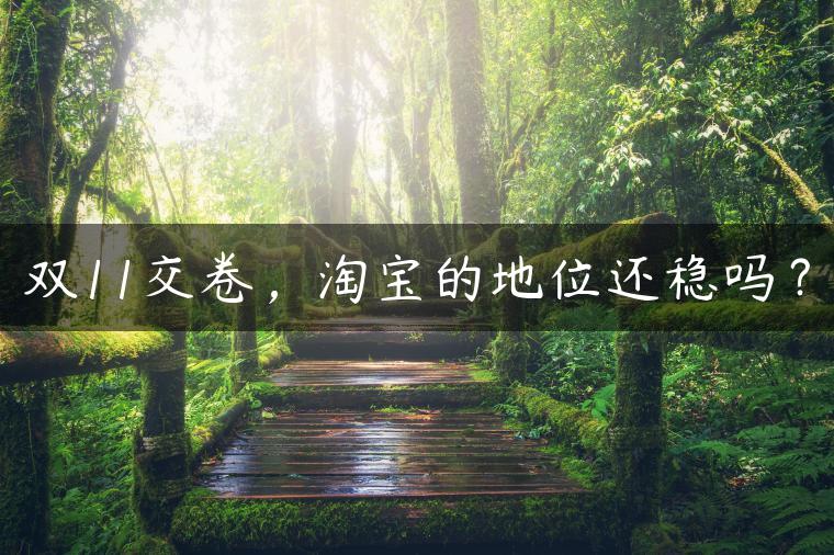 双11交卷，淘宝的地位还稳吗？