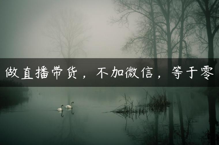 做直播带货，不加微信，等于零