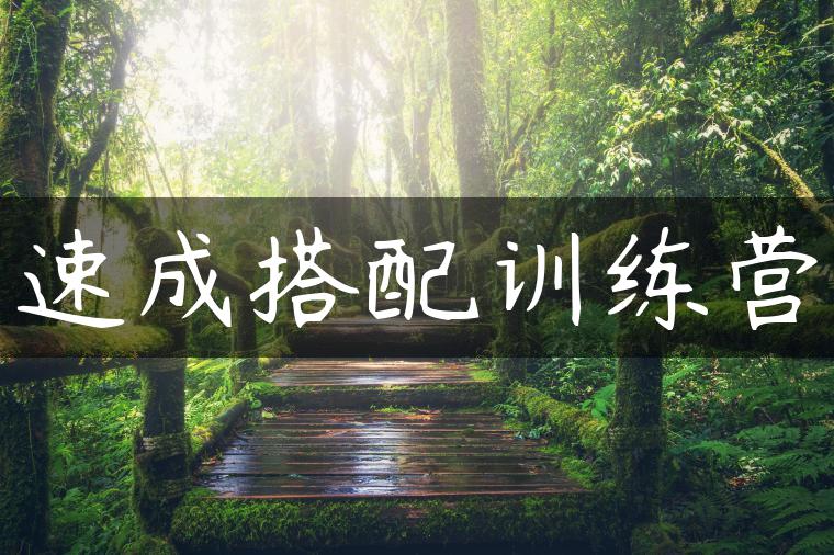 速成搭配训练营