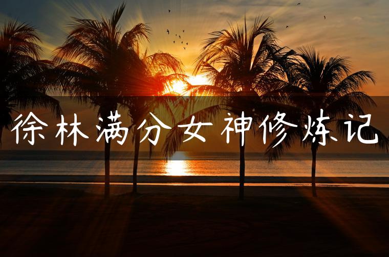 徐林满分女神修炼记