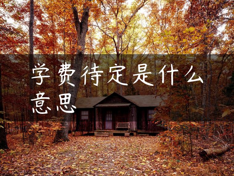 学费待定是什么意思