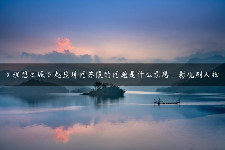 《理想之城》赵显坤问苏筱的问题是什么意思_影视剧人物