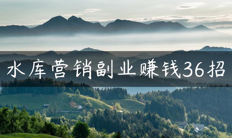 水库营销副业赚钱36招