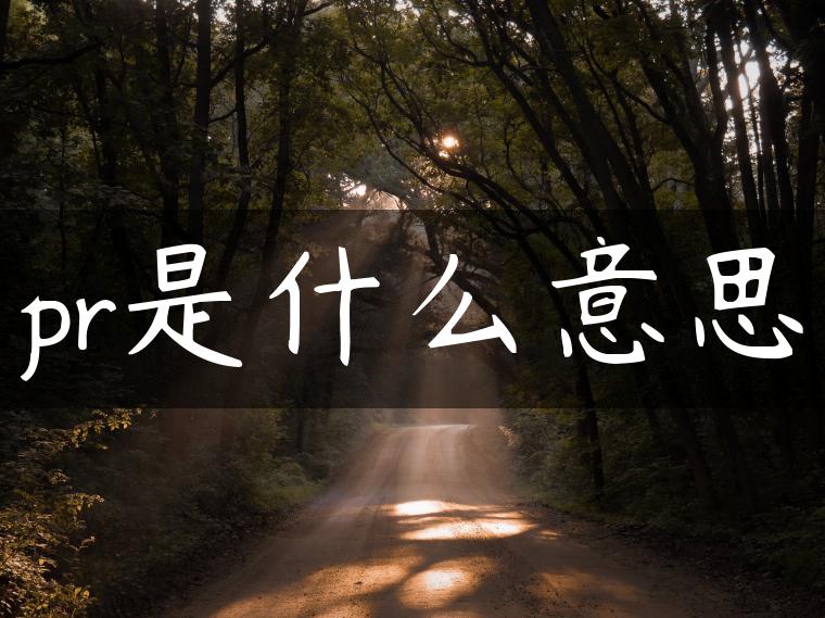 pr是什么意思