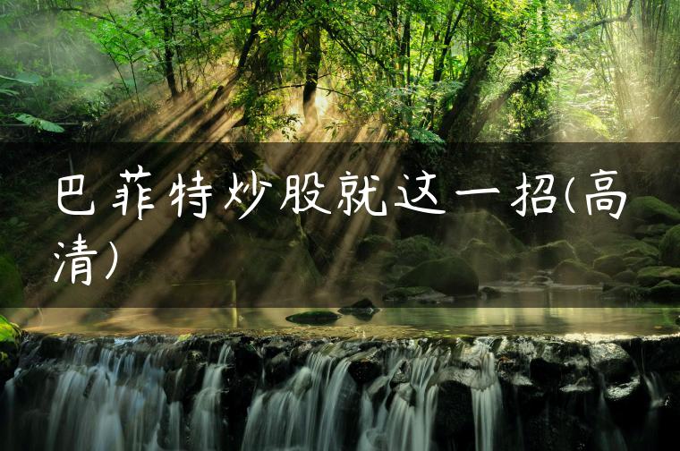 巴菲特炒股就这一招(高清)
