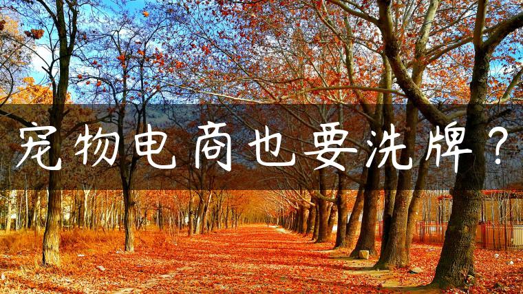 宠物电商也要洗牌？