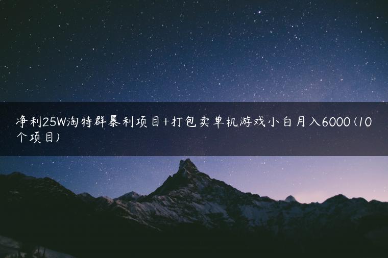 净利25W淘特群暴利项目+打包卖单机游戏小白月入6000 (10个项目)