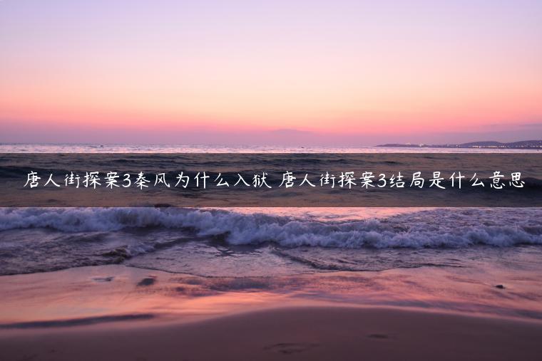 ​唐人街探案3秦风为什么入狱 唐人街探案3结局是什么意思