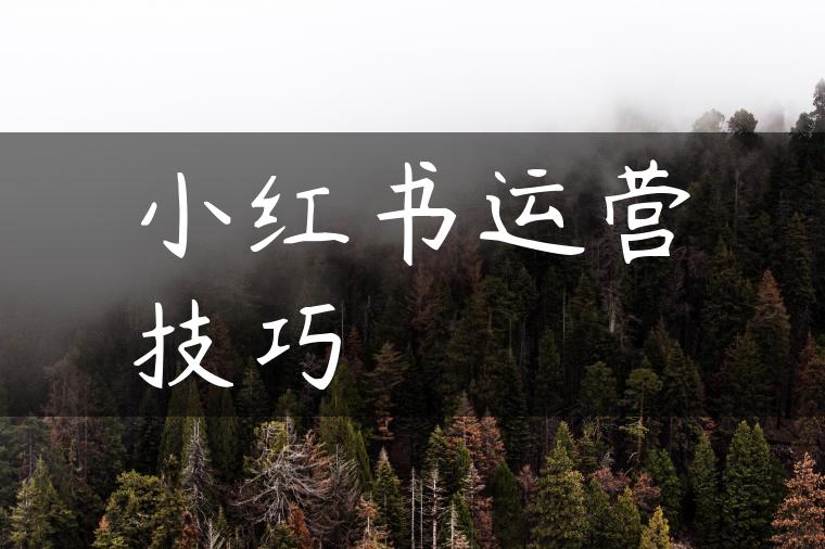 小红书运营技巧