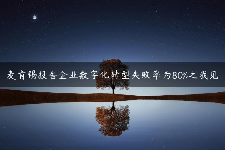 麦肯锡报告企业数字化转型失败率为80%之我见 麦肯锡报告企业数字化转型失败率为80%之我见