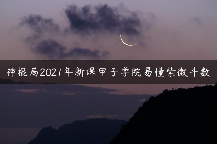 神棍局2021年新课甲子学院易懂紫微斗数