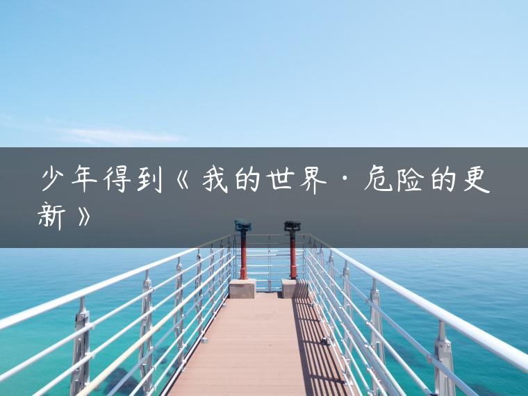 少年得到《我的世界·危险的更新》