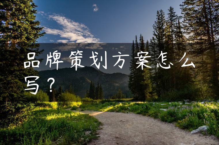 品牌策划方案怎么写? 品牌策划方案怎么写?