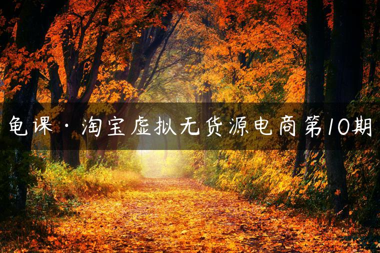 龟课·淘宝虚拟无货源电商第10期