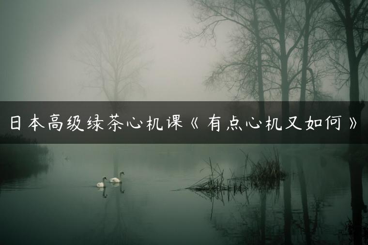 日本高级绿茶心机课《有点心机又如何》