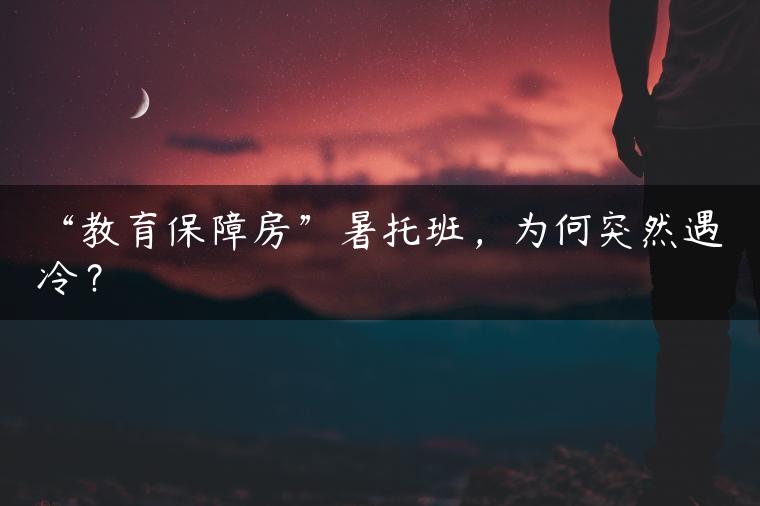 “教育保障房”暑托班，为何突然遇冷？