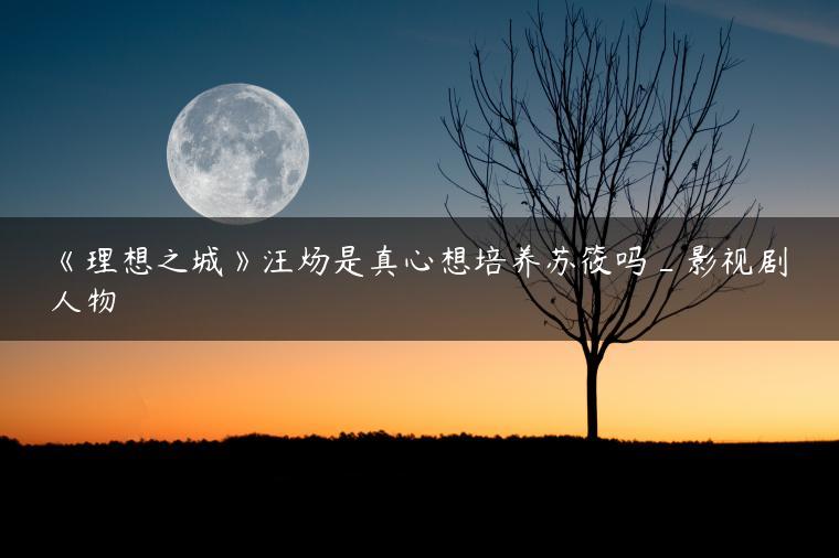 《理想之城》汪炀是真心想培养苏筱吗_影视剧人物