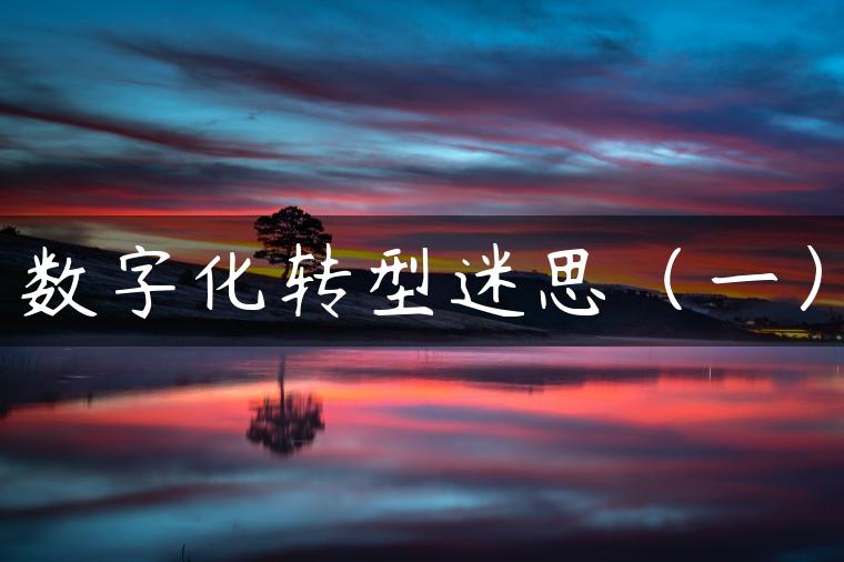 数字化转型迷思(一) 数字化转型迷思(一)