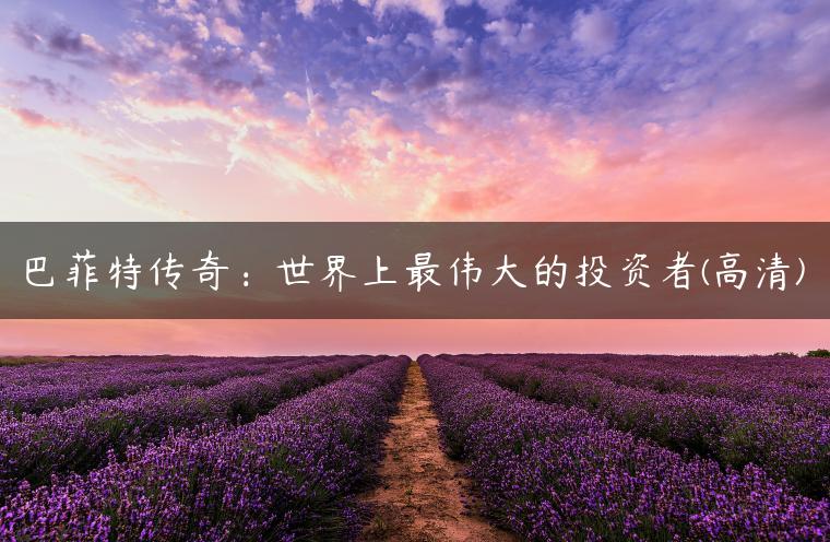 巴菲特传奇：世界上最伟大的投资者(高清)