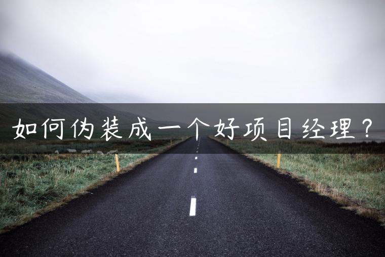 如何伪装成一个好项目经理？