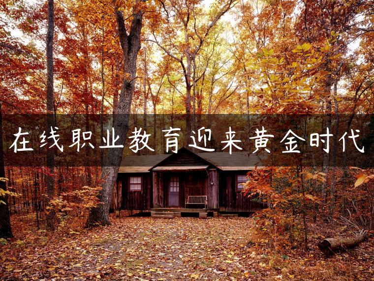 在线职业教育迎来黄金时代