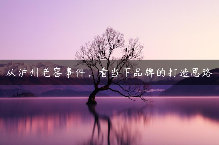 从泸州老窖事件，看当下品牌的打造思路