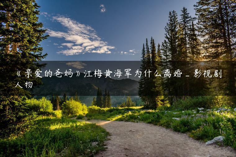 《亲爱的爸妈》江梅黄海军为什么离婚_影视剧人物