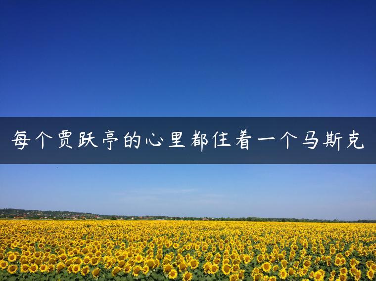 每个贾跃亭的心里都住着一个马斯克