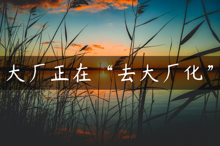 大厂正在“去大厂化”