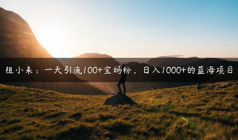 祖小来：一天引流100+宝妈粉，日入1000+的蓝海项目