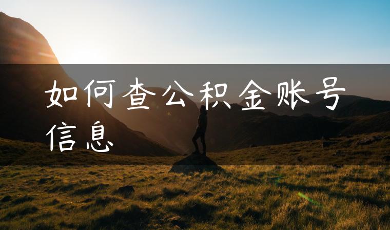 如何查公积金账号信息