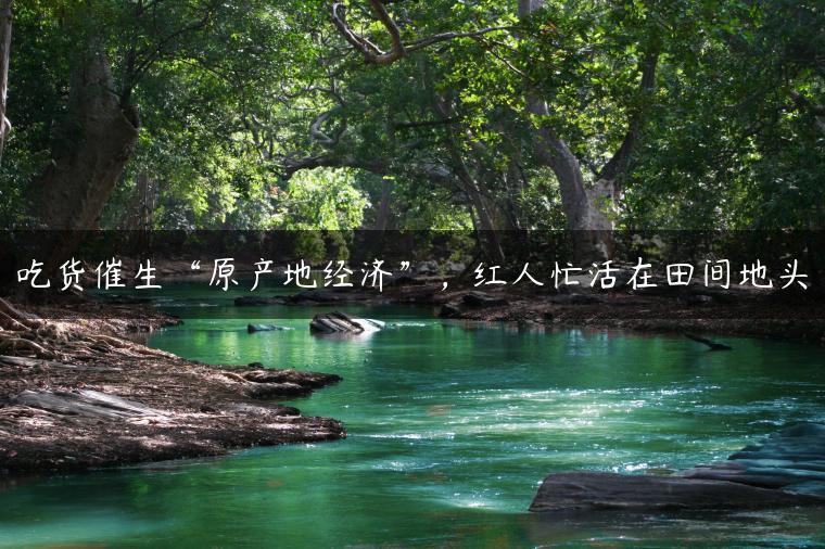 吃货催生“原产地经济”，红人忙活在田间地头